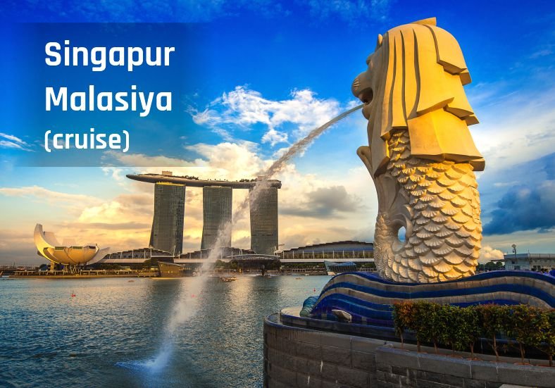 Singapore Starter