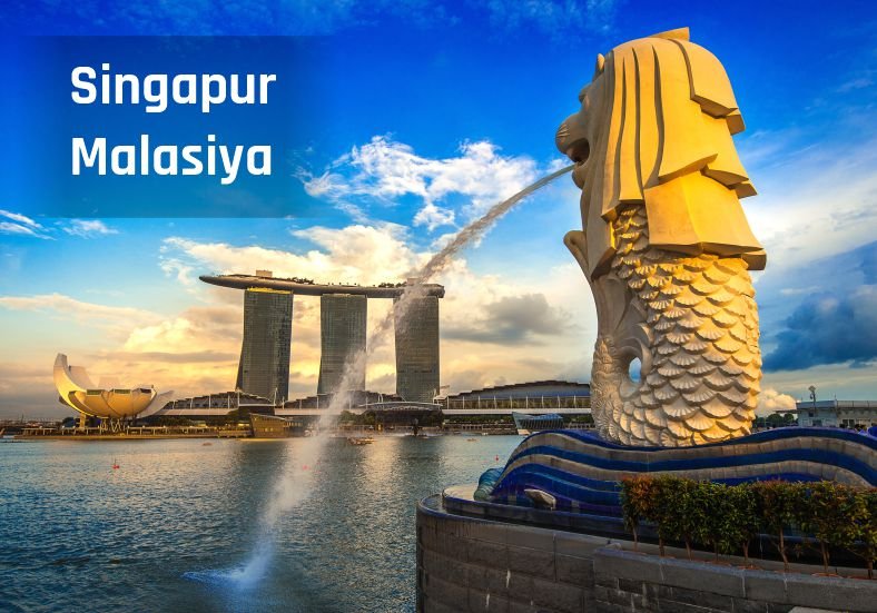 Singapore Starter